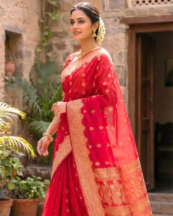 Elegant Red Saree